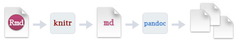 How an Rmd document is rendered
